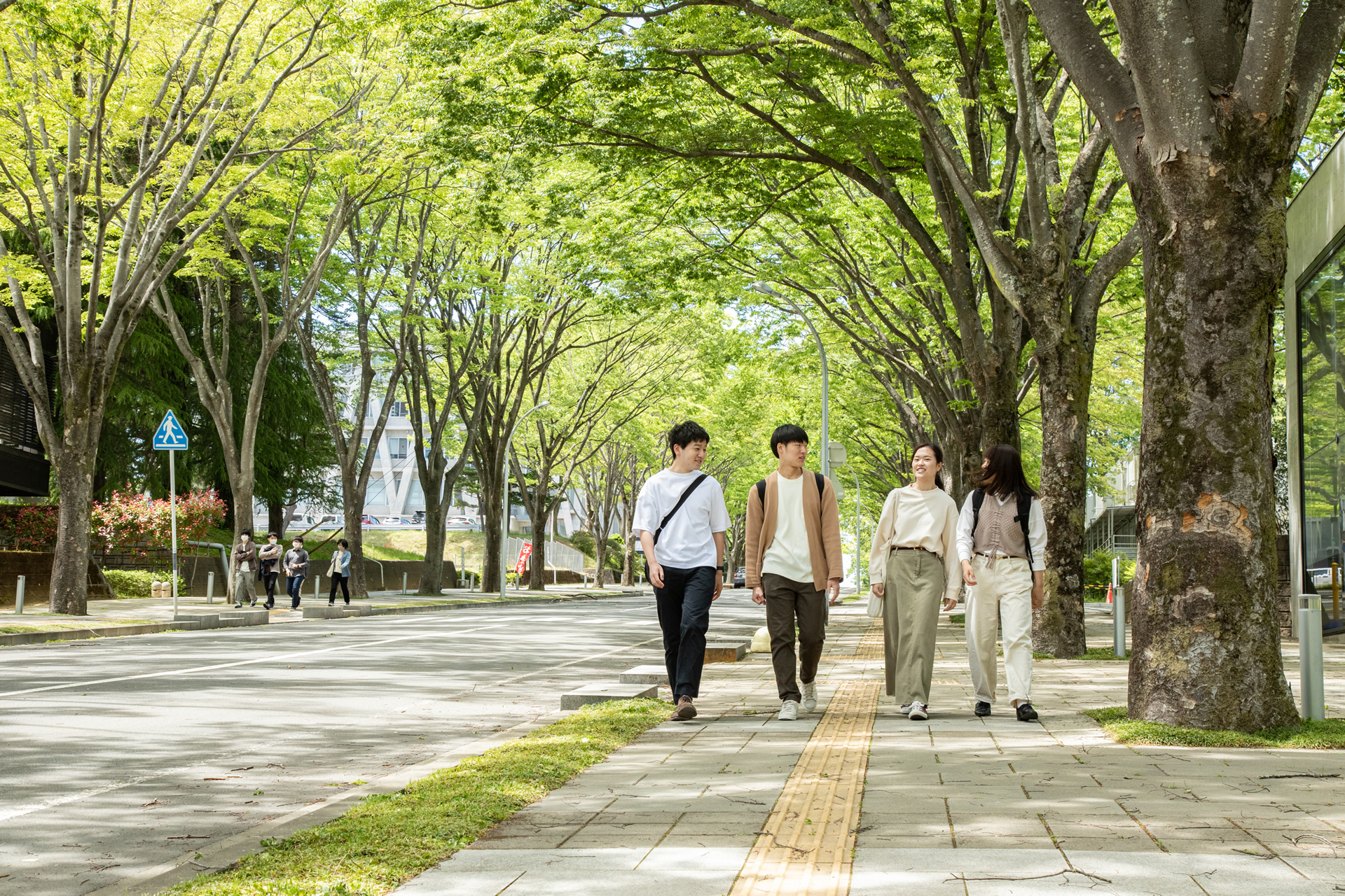 GreDi - 東北大学 グリーン×デジタル産学共創大学院プログラム