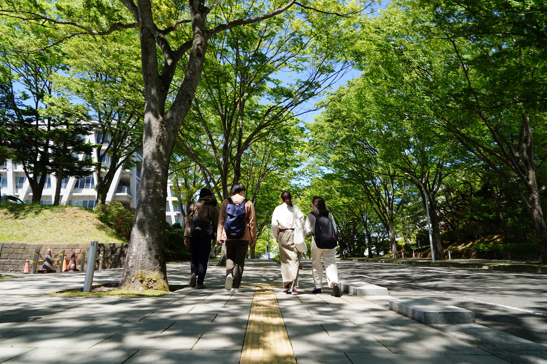 GreDi - 東北大学 グリーン×デジタル産学共創大学院プログラム